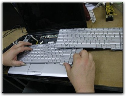 Ремонт клавиатуры на ноутбуке Toshiba в Севастополе